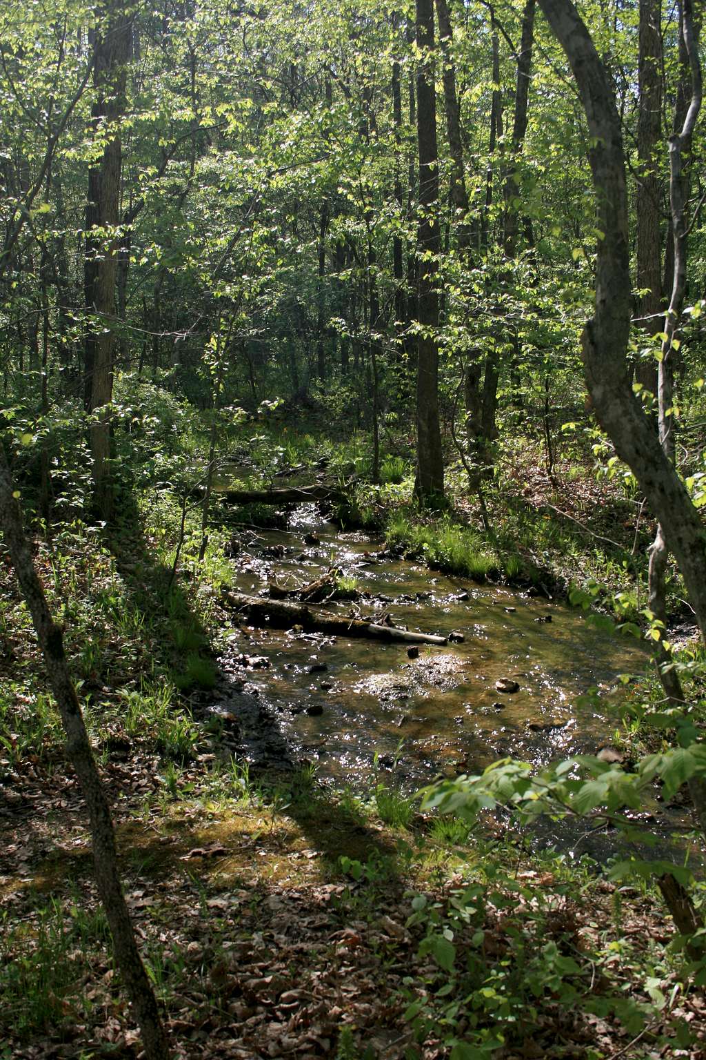 Unnamed Tributary of Bloom Creek