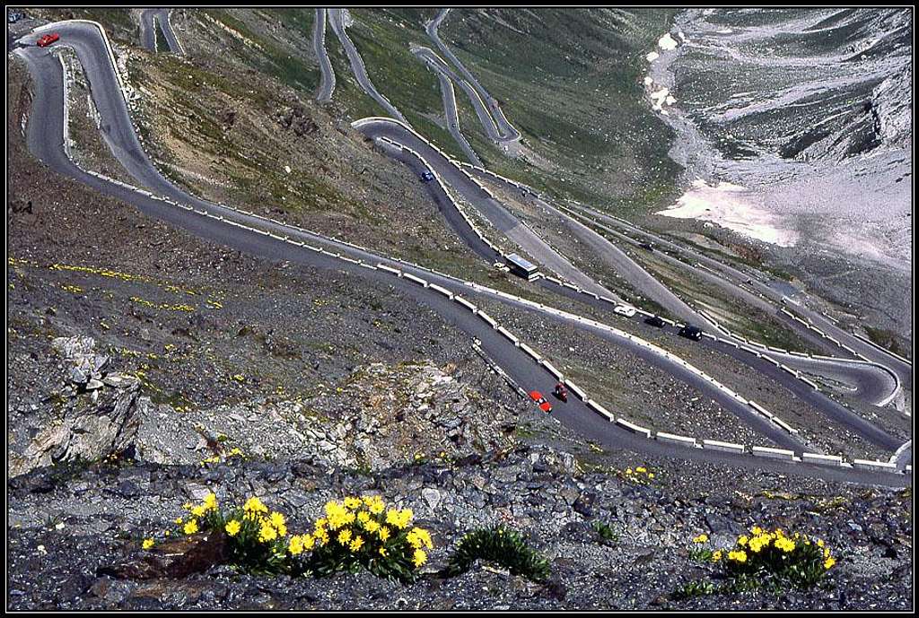 The road to Passo Stelvio.