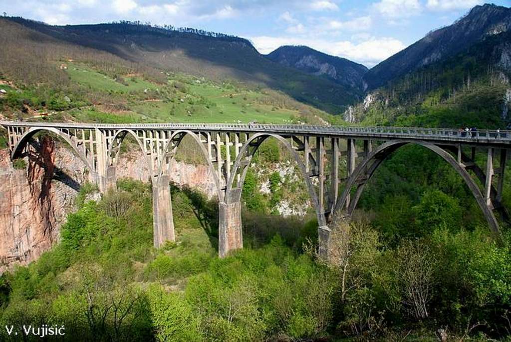 Đurđevića Tara bridge