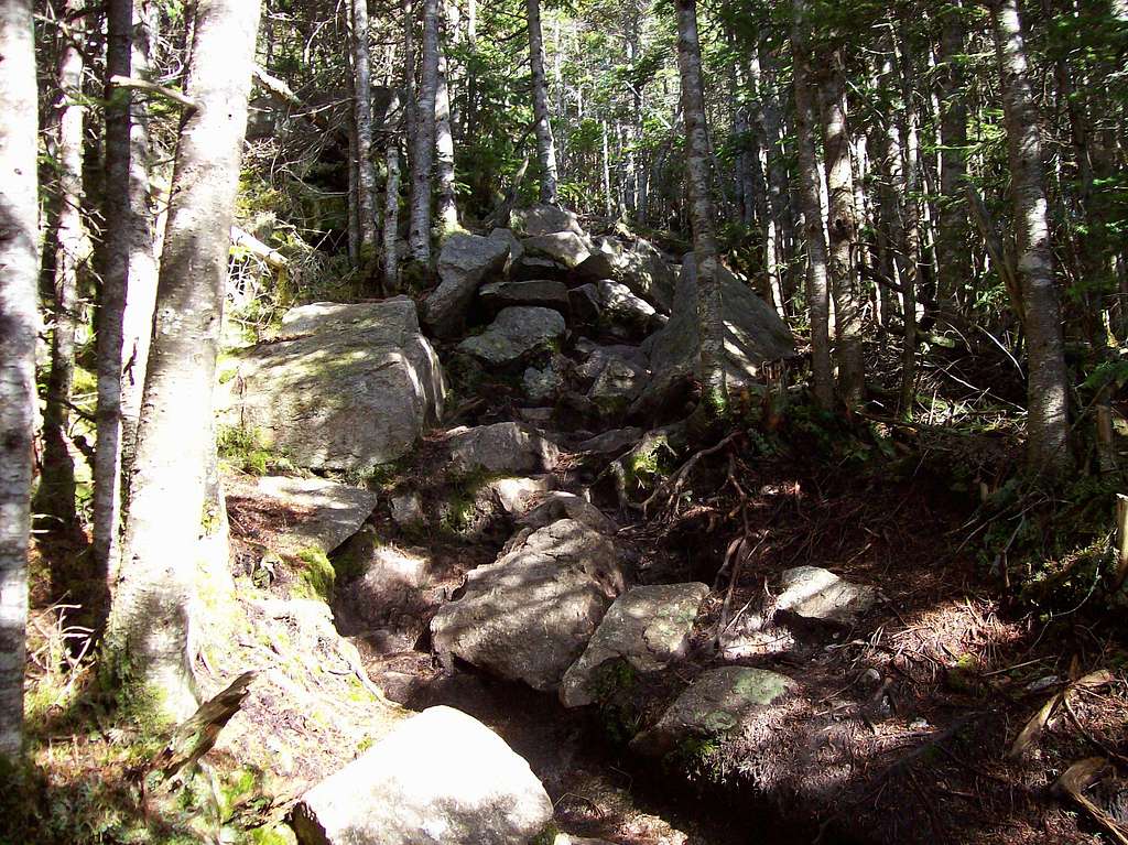 the rocky Mt. Tom trail