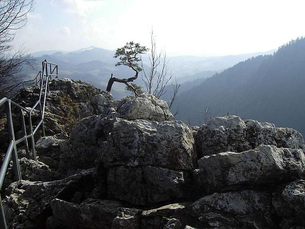 Sokolica - viewing point to Dunajec Gorge