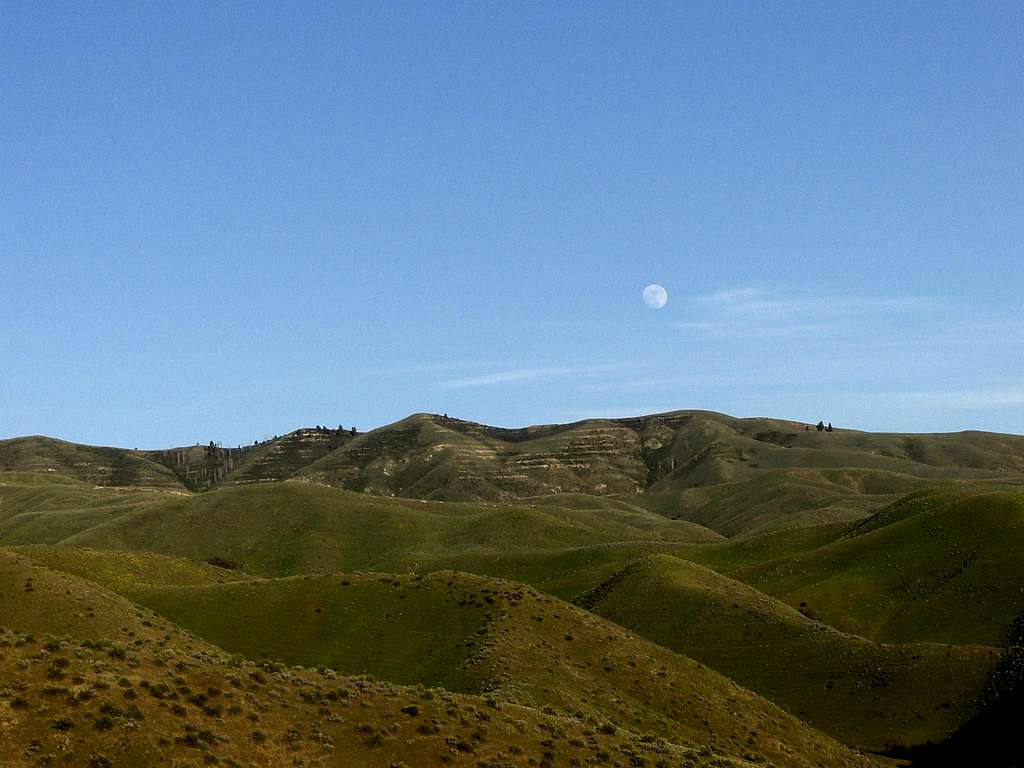 Moon Over Boise Ridge