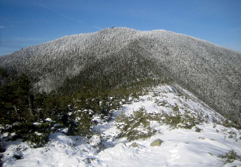 Mt. Carrigain and it's observation tower