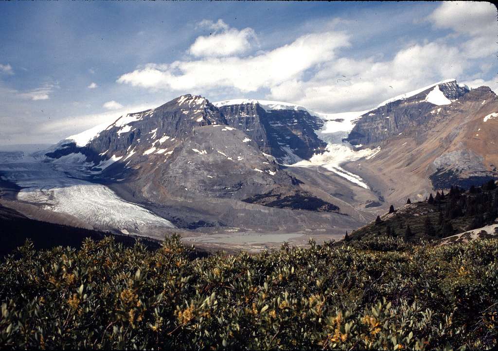 ATHABASCA AND DOME GLACIERS FROM WILCOX PASS-1986
