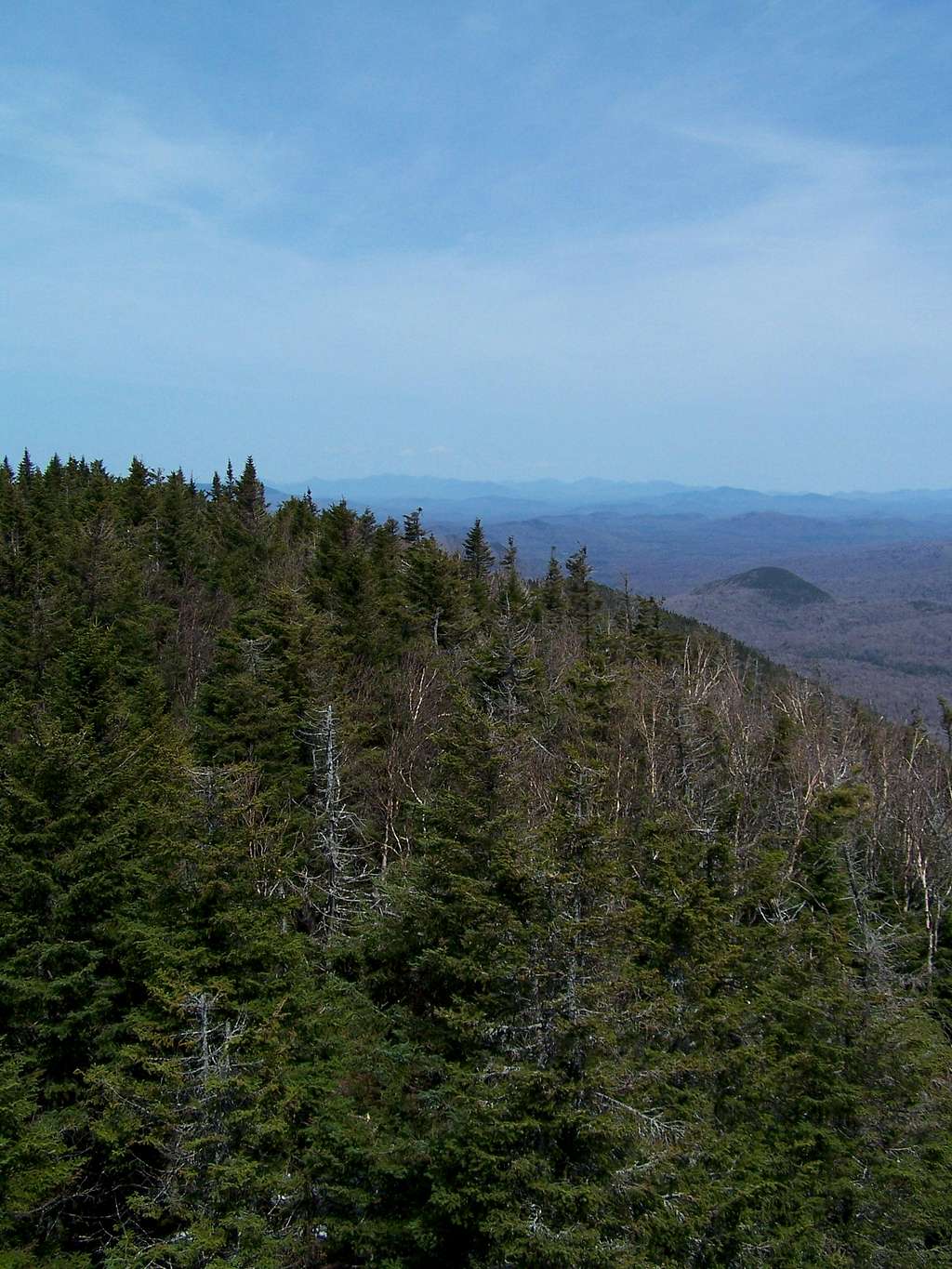 View North from Wakely Mtn Firetower