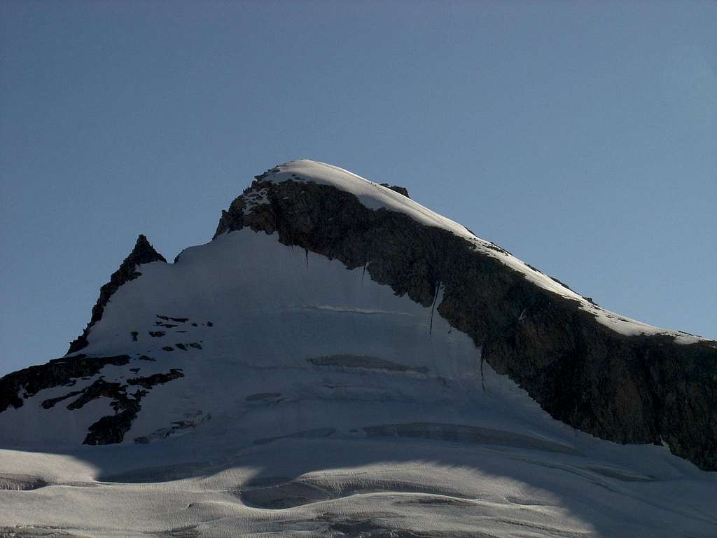 Oberaarhorn 3631m