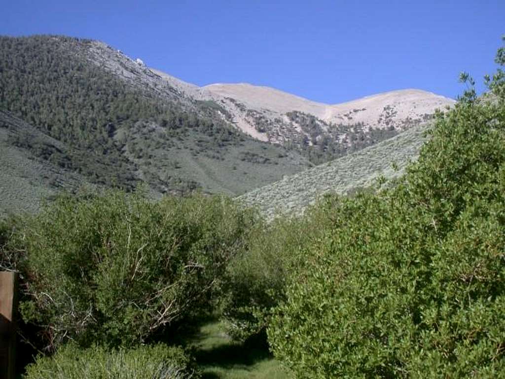 Boundary Peak from the Trail...