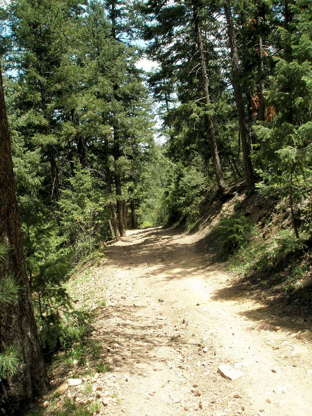 Upper Plymouth Creek Trail