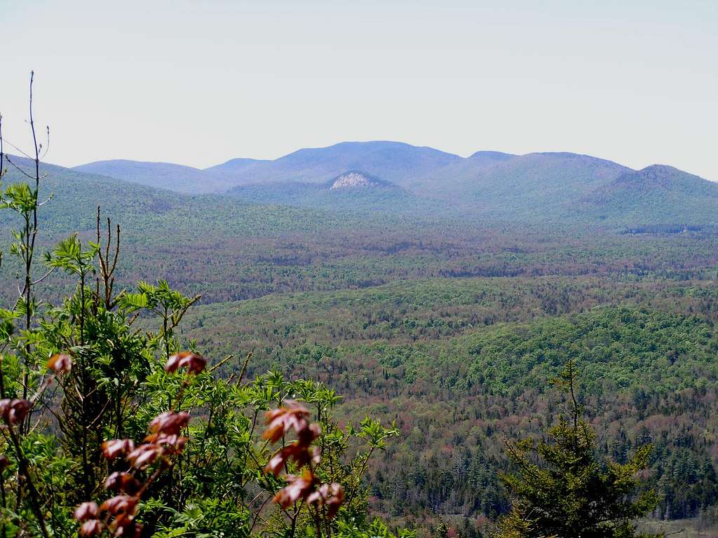 Sawyer Summit view of Sugarloaf and Wakely Mtns.