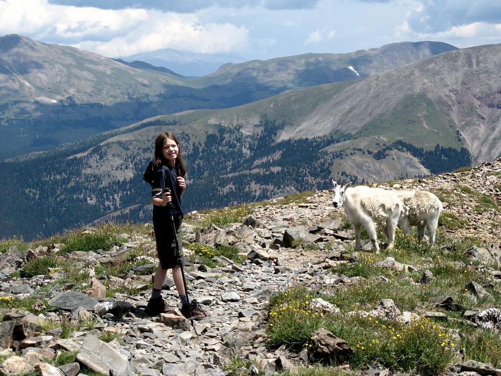 Catherine and friends on Quandary Peak