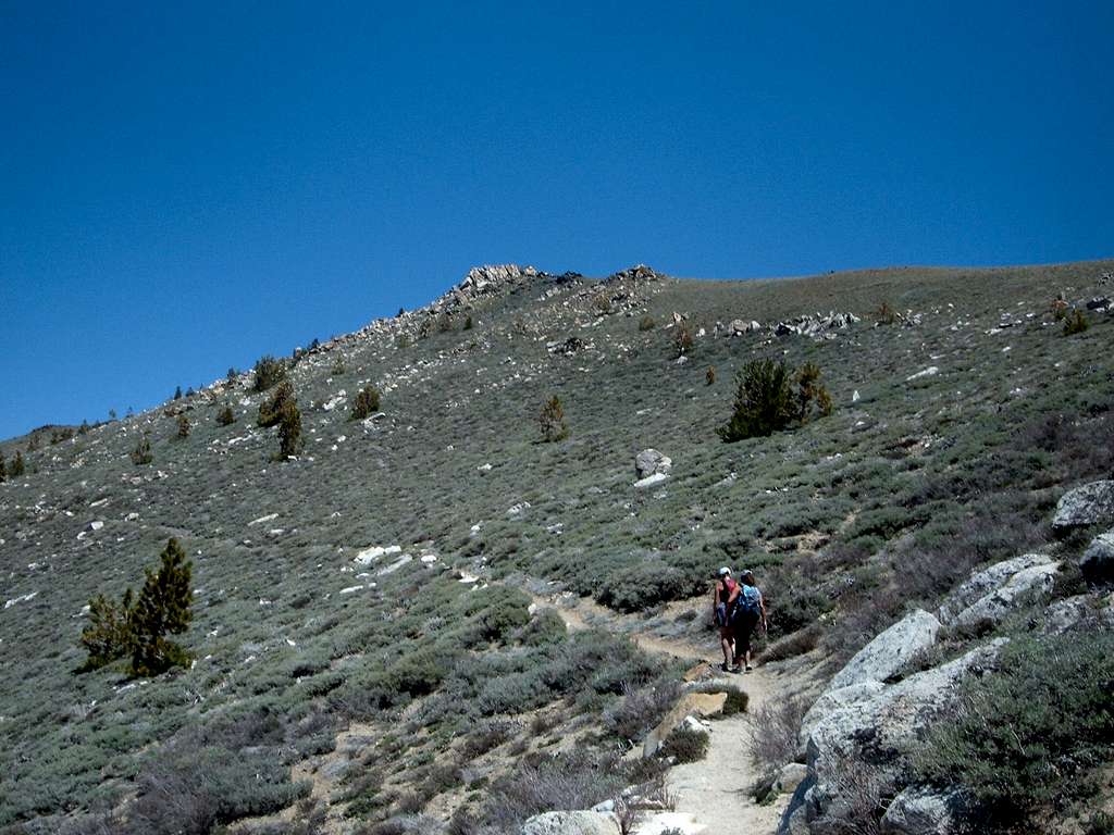 Coming up the TRT towards Snow Valley Peak