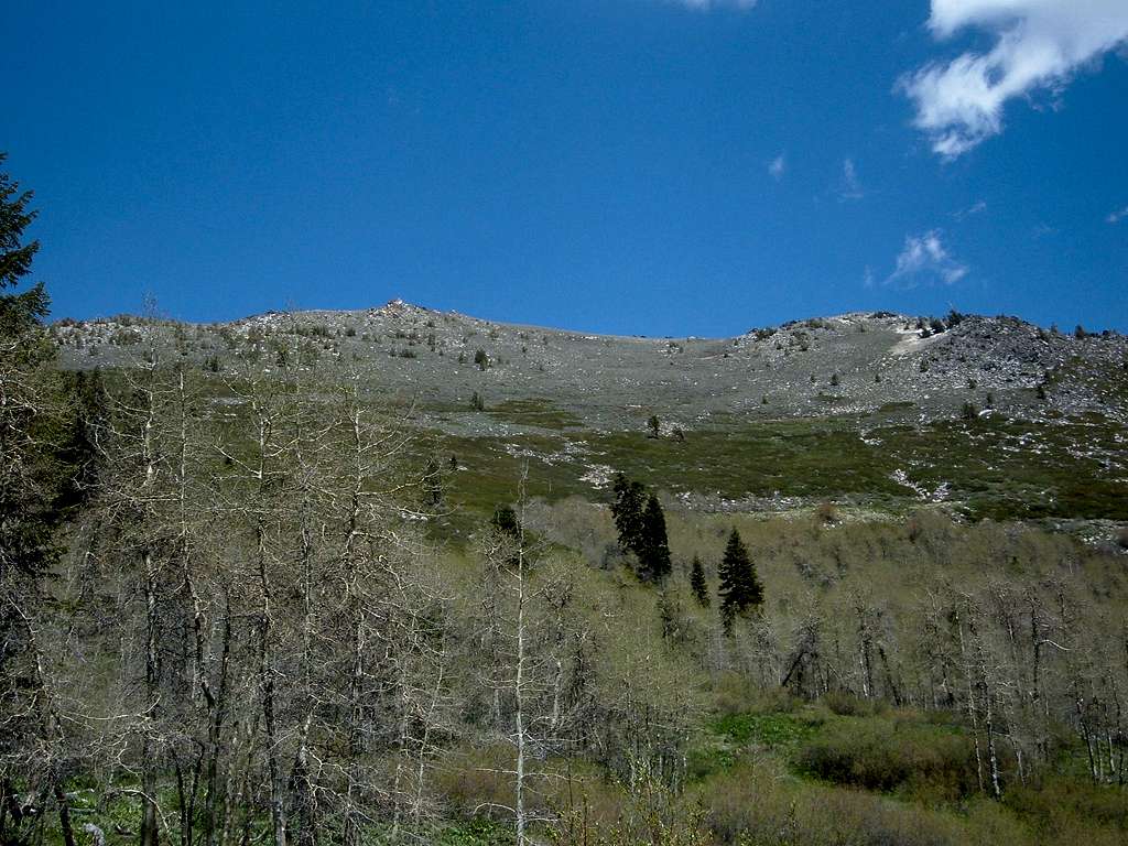 View up the slopes of Snow Valley Peak