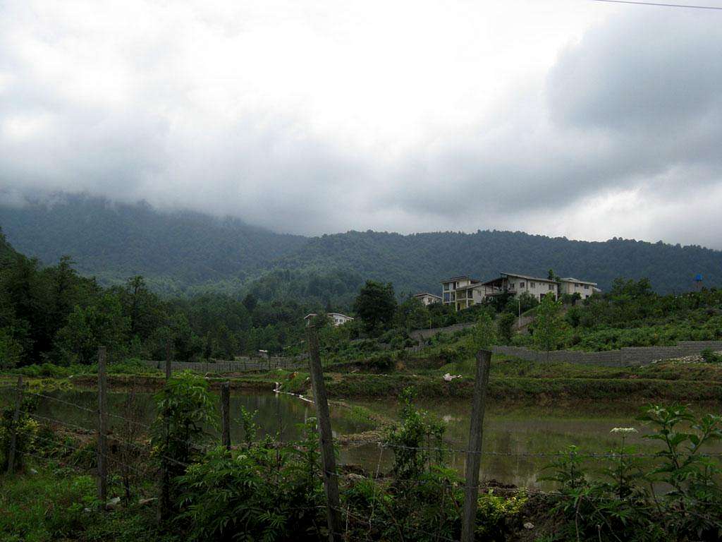 Jungle and Daniyal village