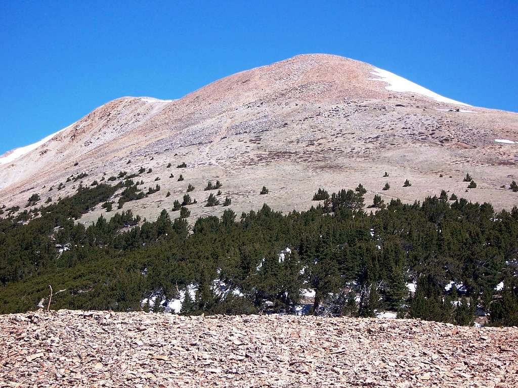 Looking up at the false summit and summit of Sheep Mountain F