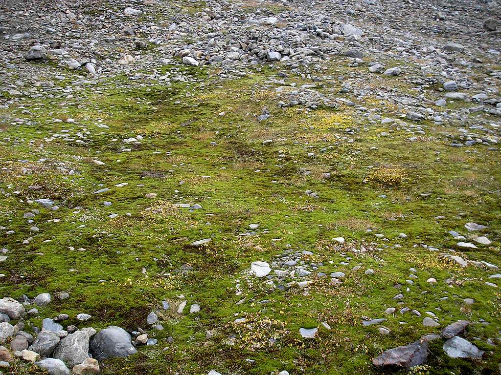 Landscape by the Silvrettahorn 3244m