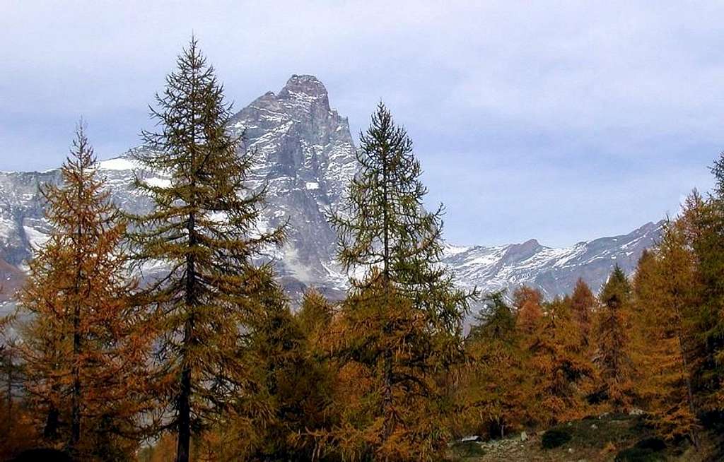 Il monte Cervino - Matterhorn