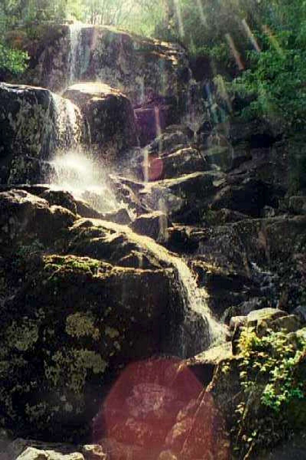 Falls on Algonquin Approach - Sept., 2004