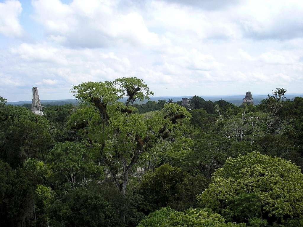 Tikal