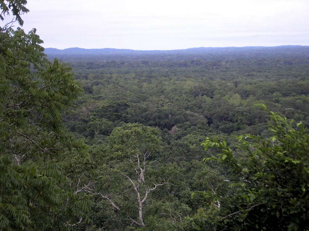 view over the Peten jungle from the ruins of Uaxactun