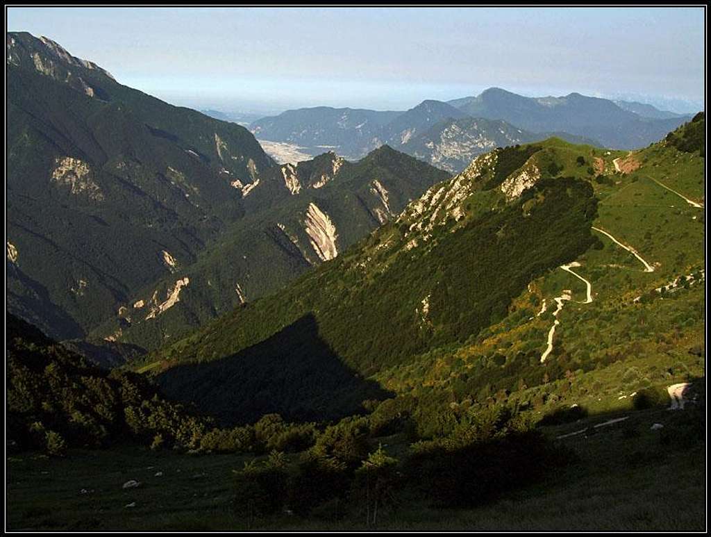 Meadows above Val Venzonassa