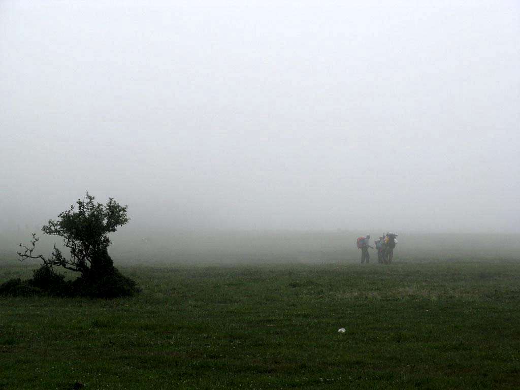 Daryasar plain in fog