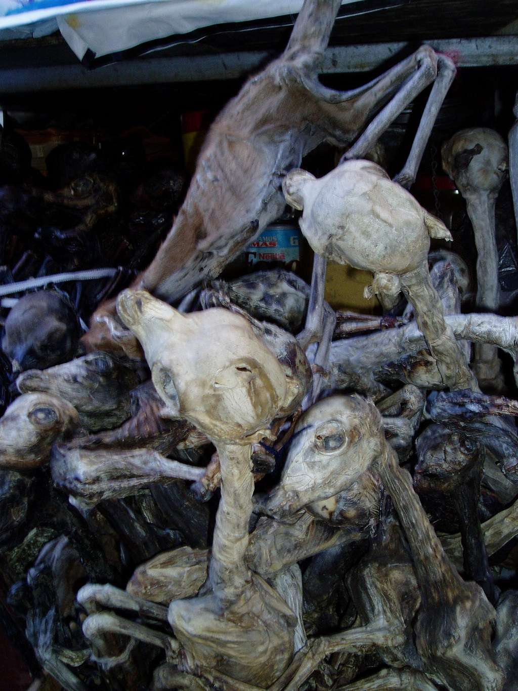 dried lama fetus - witch market - La Paz