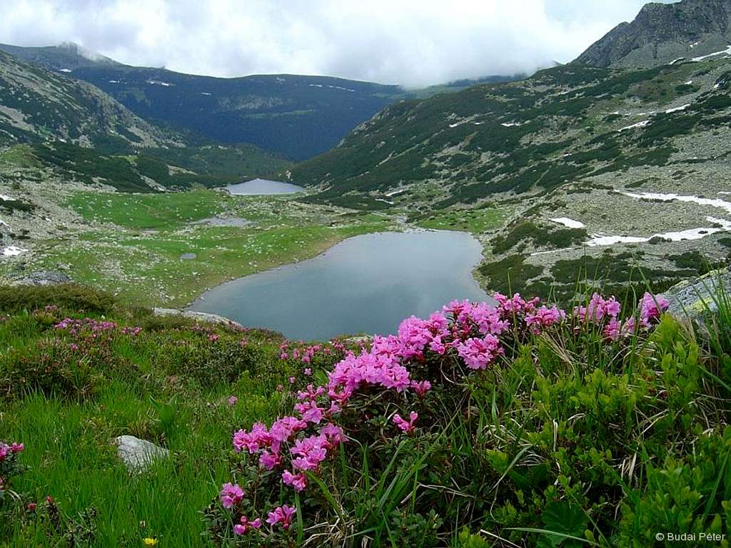 Lakes and flowers