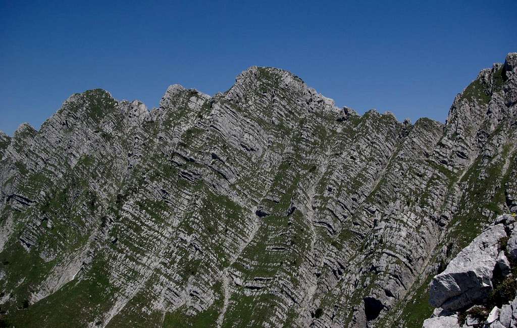 Cime del Monte Musi - Western crest