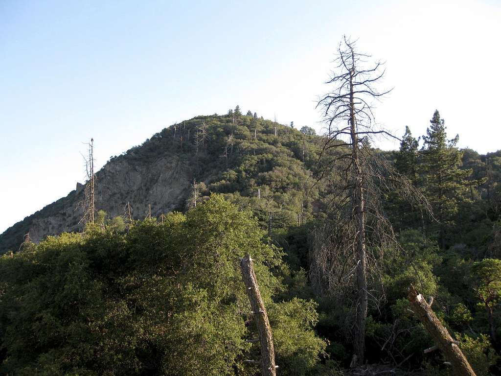 Allen Peak (5795') on Yucaipa Ridge