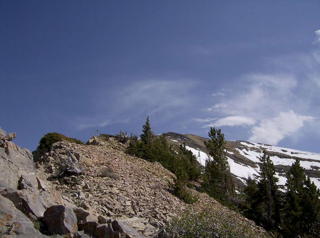 Last section of the north summit ridge of Box Elder