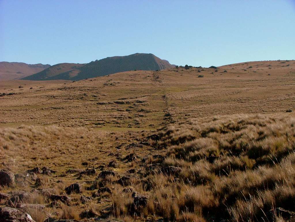 Inca Trail. Ecuador