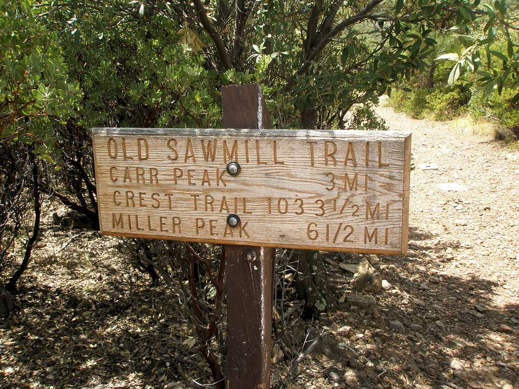 Old Sawmill Trailhead
