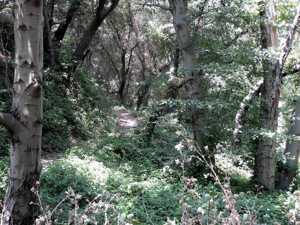 Passage through El Prieto Canyon