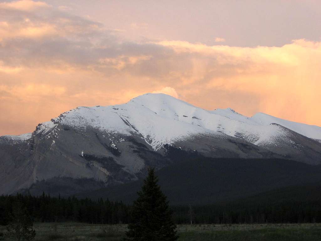 Scotch Camp, Banff National Park, AB, Canada