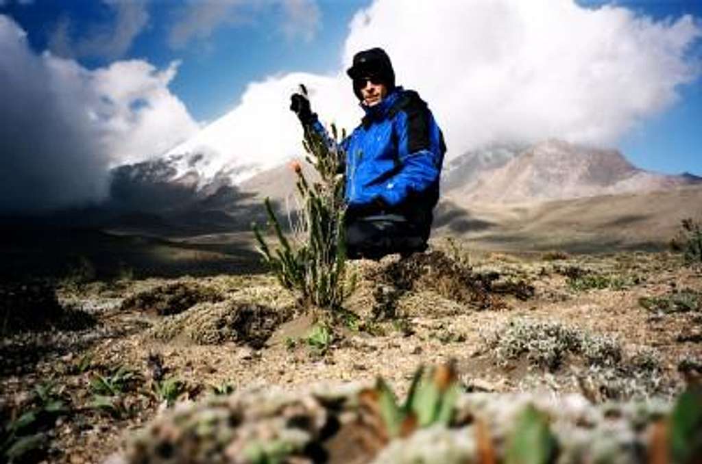 Chimborazo 6310m