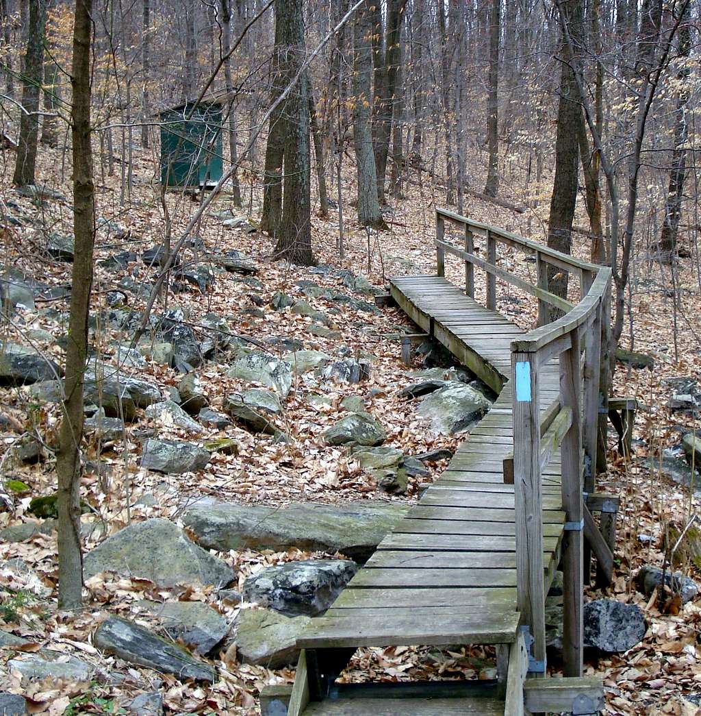 Boardwalk to the privy