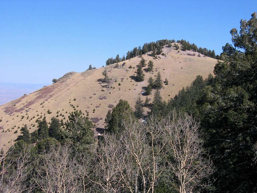 Unnamed Peak in the Magdalenas