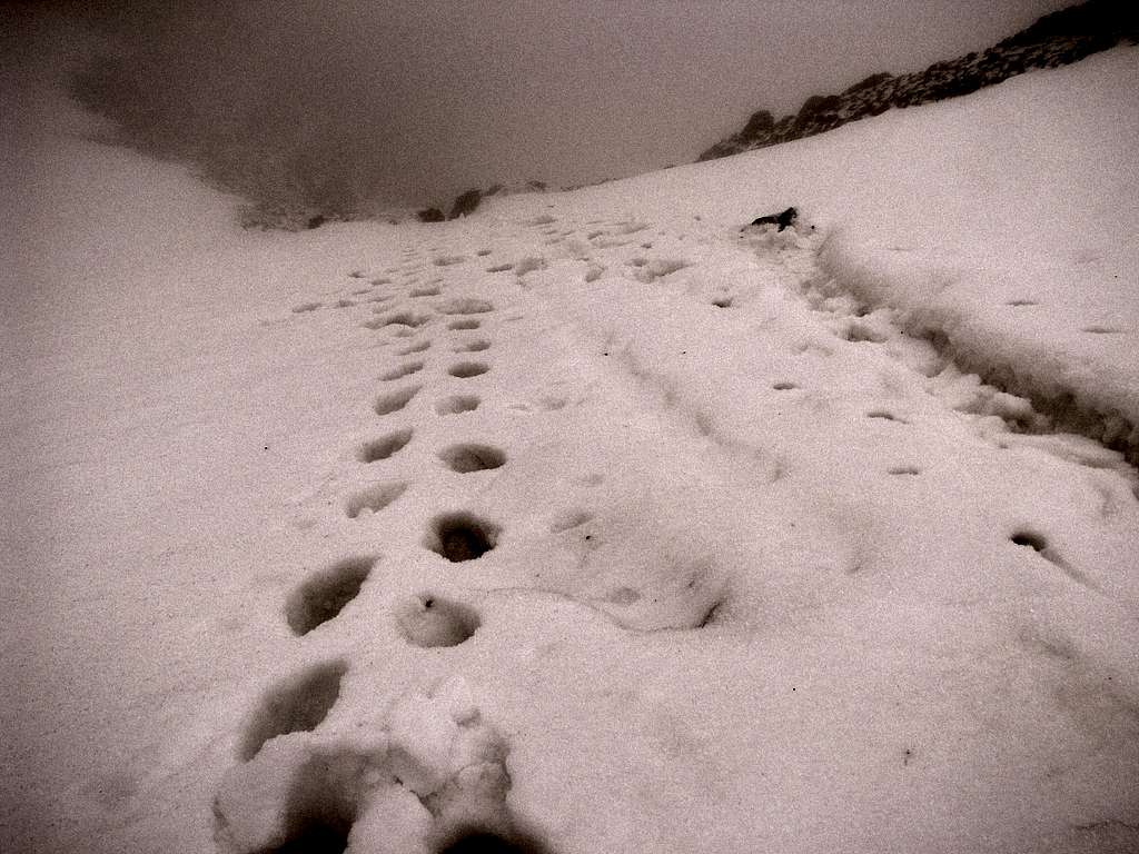 Knee deep snow gully. Cotacachi.