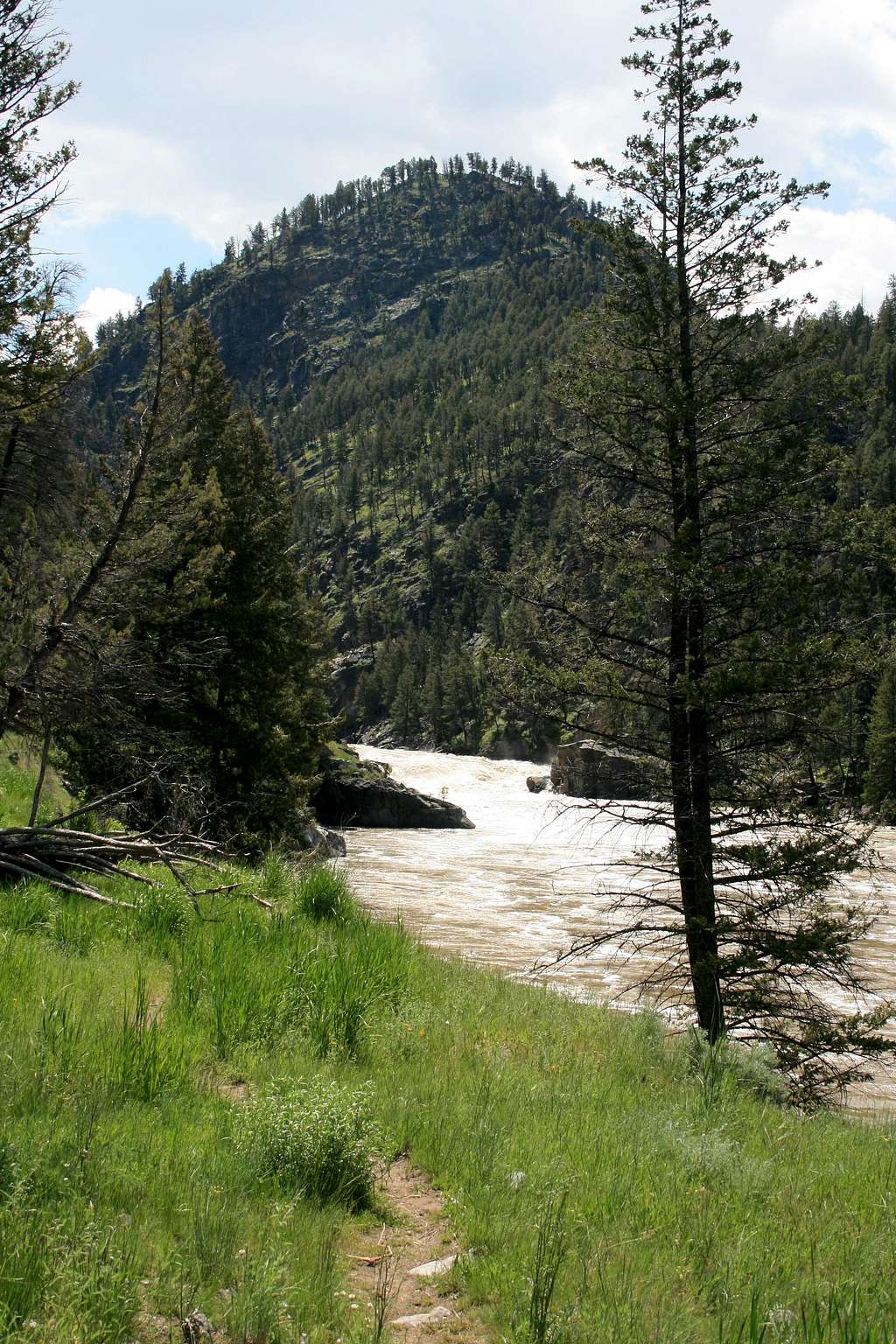 Yellowstone River Trail