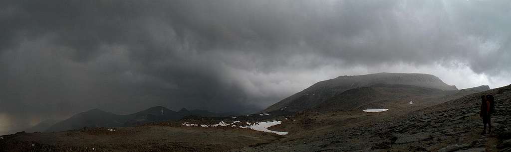 Stormy Langley