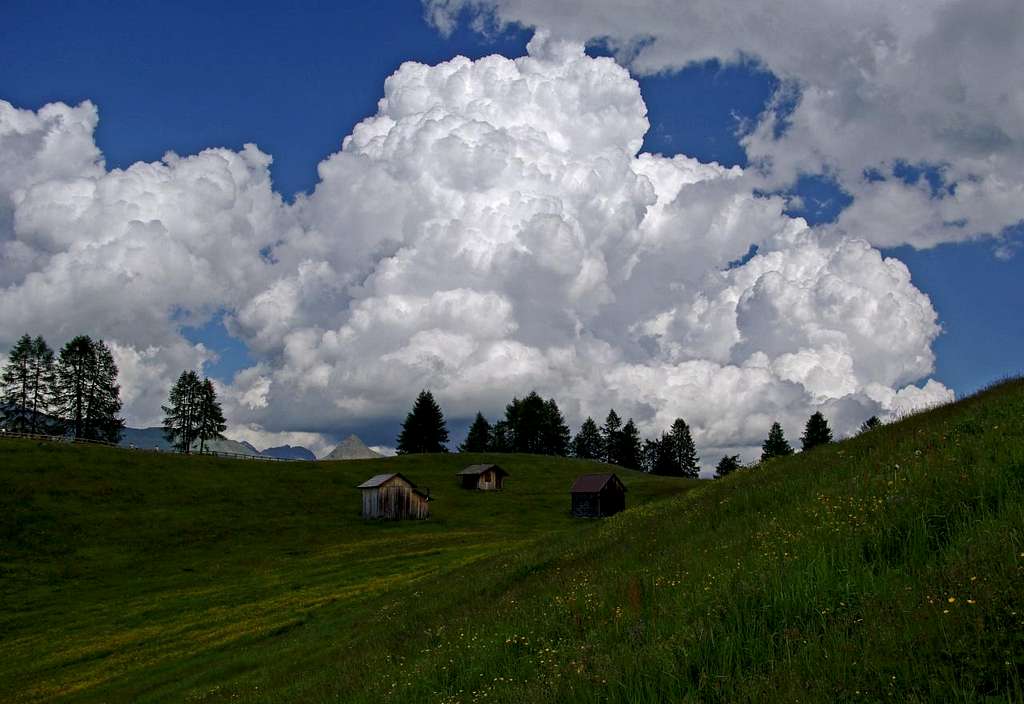 Prati di Croda Rossa