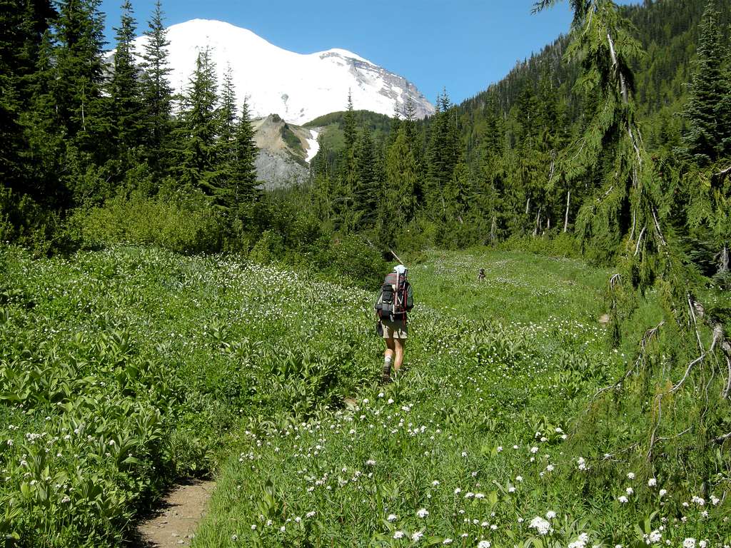 Meadows on way to Summerland