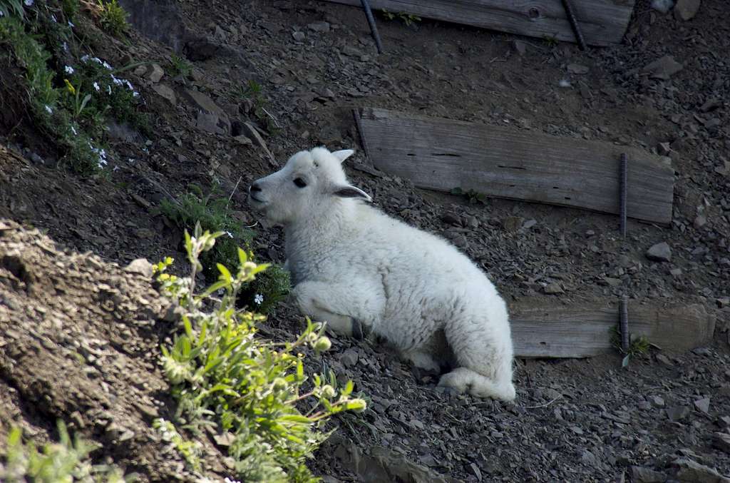 This kid was hogging the trail