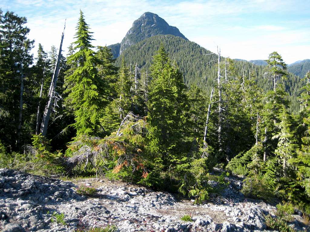 Conuma Peak from the Lower South Ridge