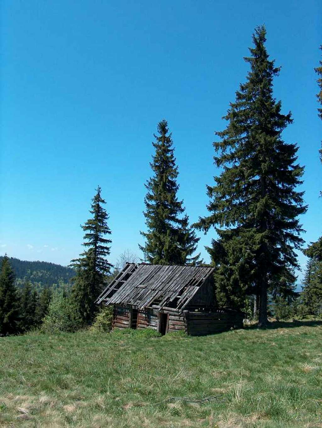Small abandonned pasture hut, Gorce.