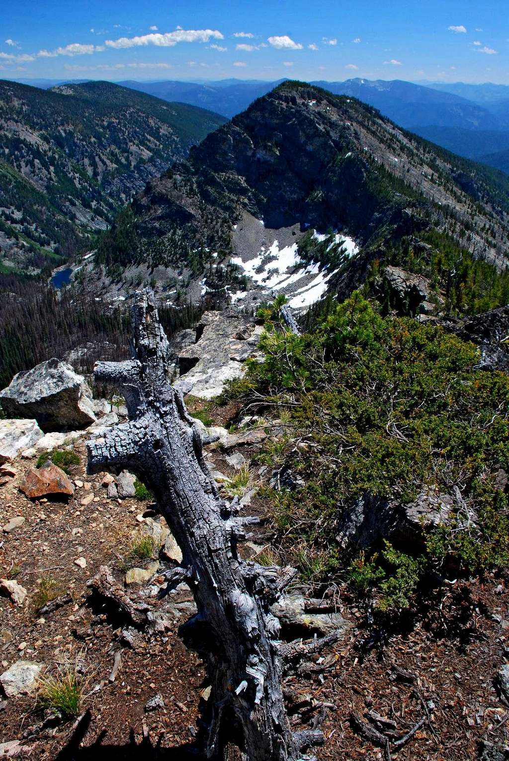 Dead Tree and Peak
