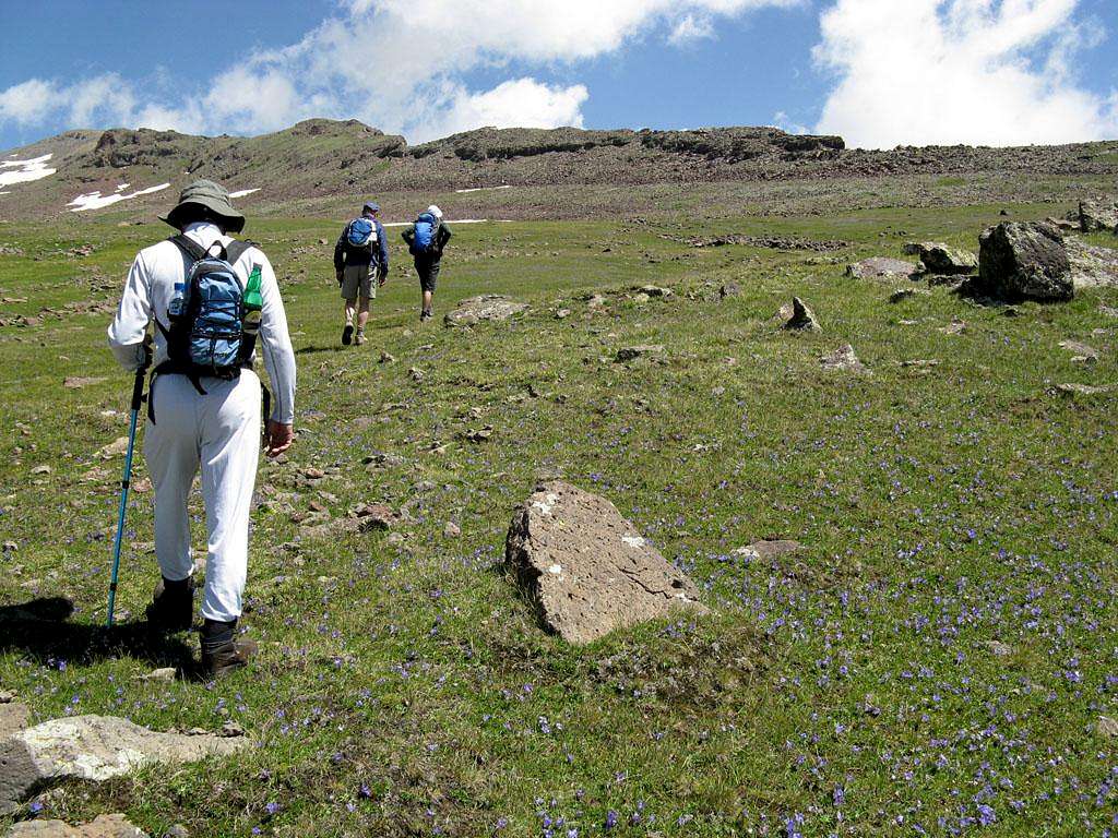 toward the ridge of southern summit