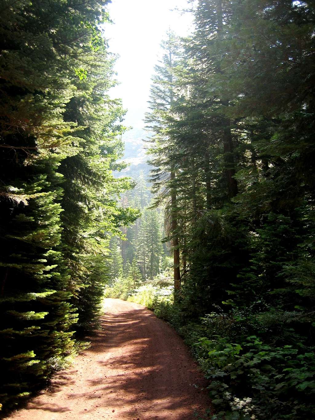 Trail from Kelly Lake