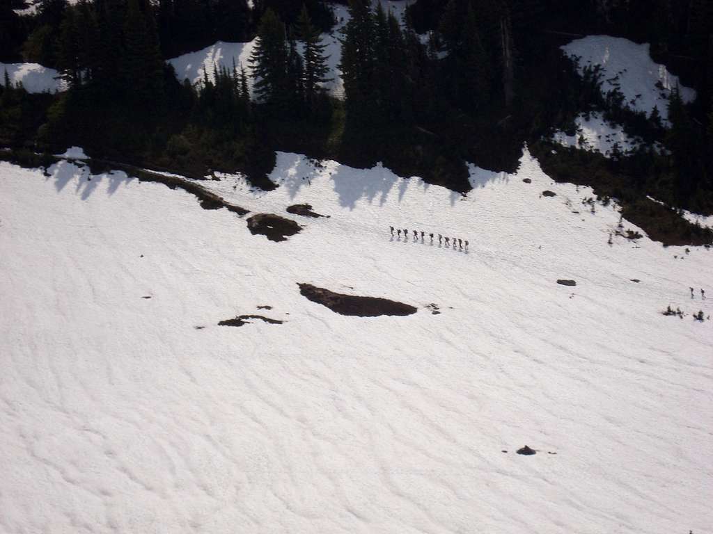 Muir Snow Field