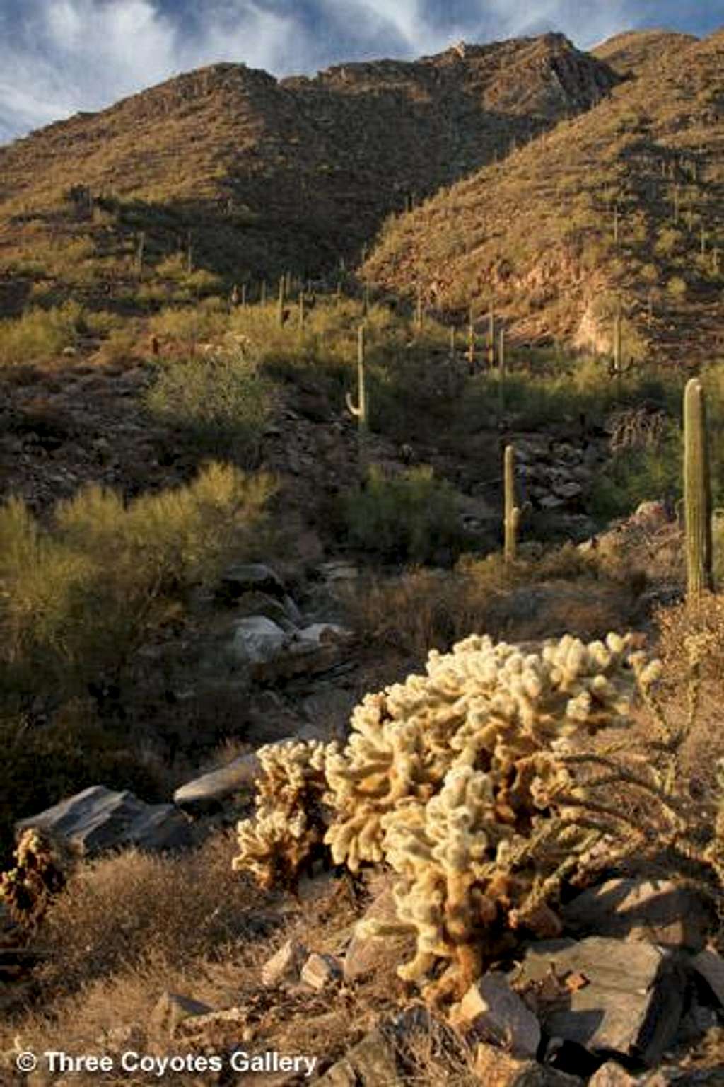 McDowell Peak